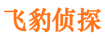 醴陵市私家侦探